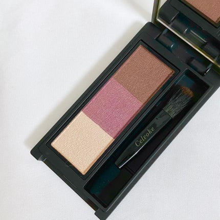 セルヴォーク インディケイトアイブロウパウダー/Celvoke/パウダーアイブロウを使ったクチコミ(3枚目)