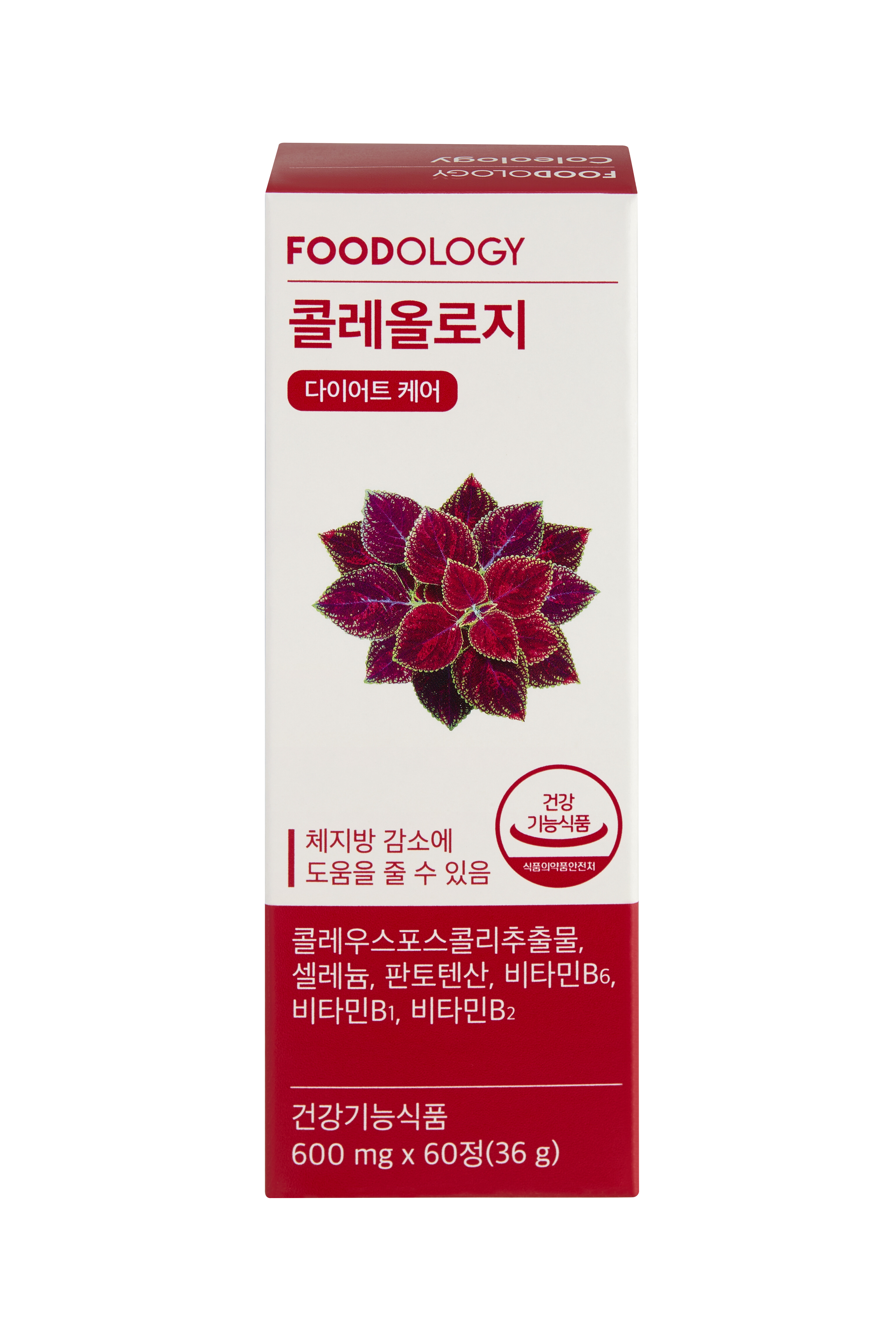 コレオロジー / FOODOLOGY