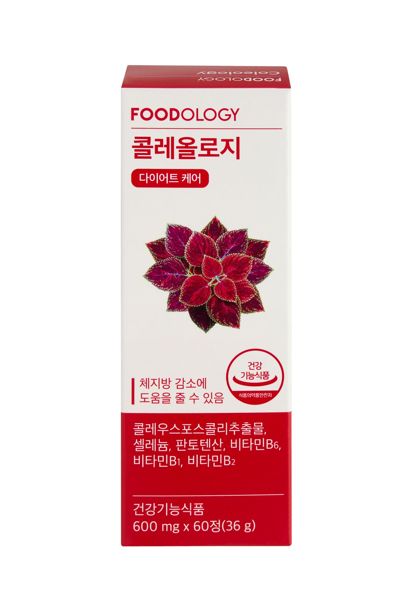 コレオロジー FOODOLOGY