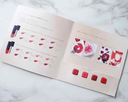 ルージュリキッドルミヌ ブリアン/クレ・ド・ポー ボーテ/口紅を使ったクチコミ(4枚目)