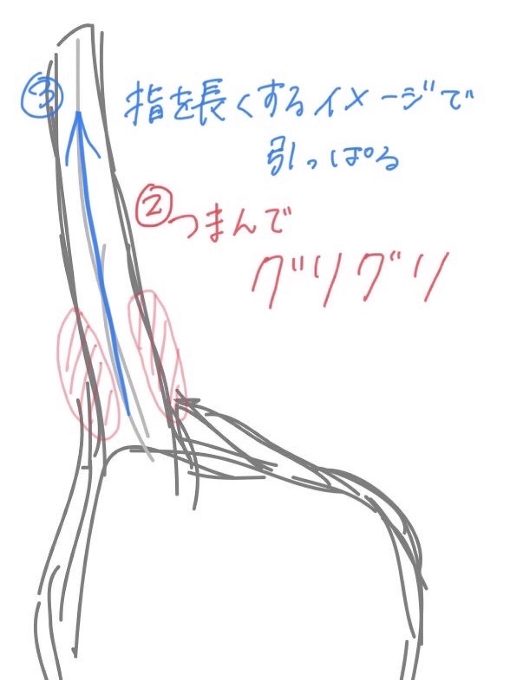 グーテナハト ハンドクリーム ホップ＆バレリアンの香り/クナイプ/ハンドクリームを使ったクチコミ（3枚目）