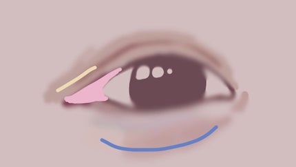 大島椿(ツバキ油)/大島椿/ヘアオイルを使ったクチコミ(2枚目)