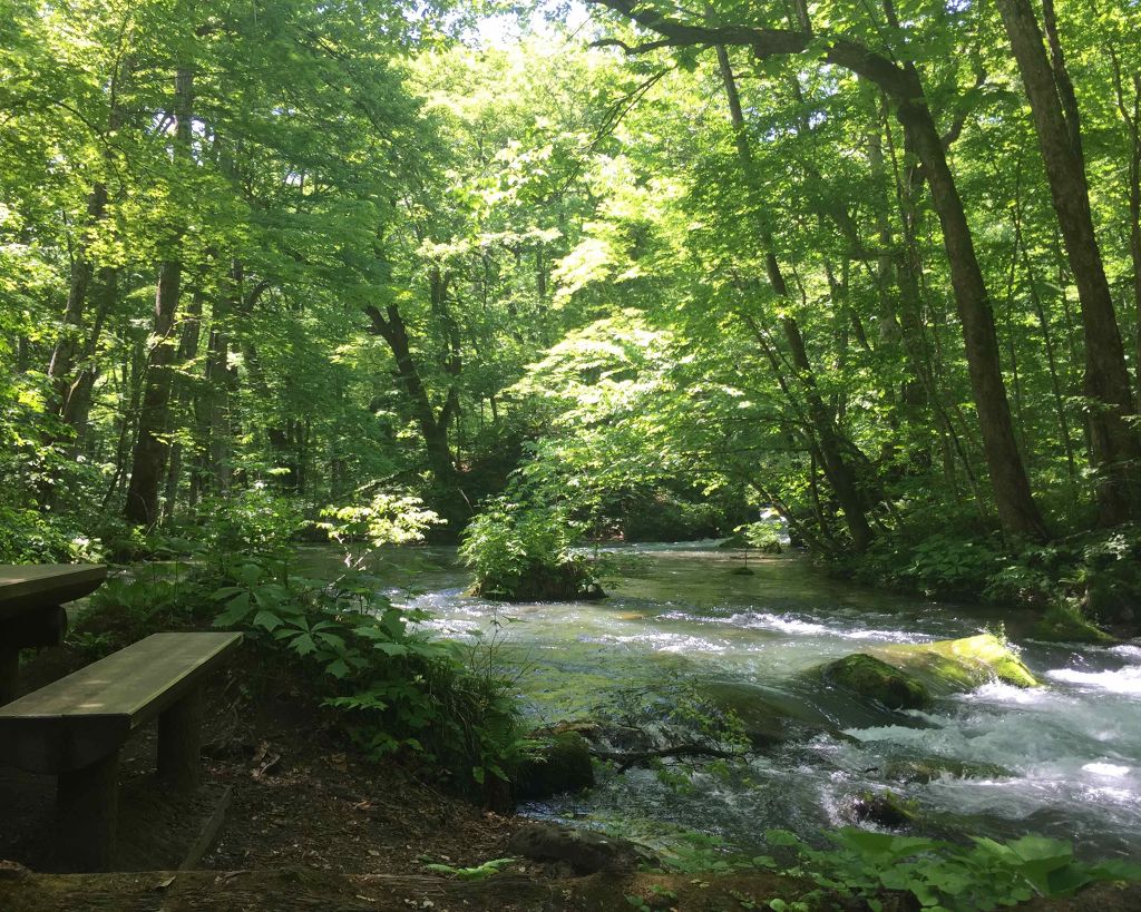 バズ ガードUV N/パラドゥ/日焼け止め・UVケアを使ったクチコミ(2枚目)