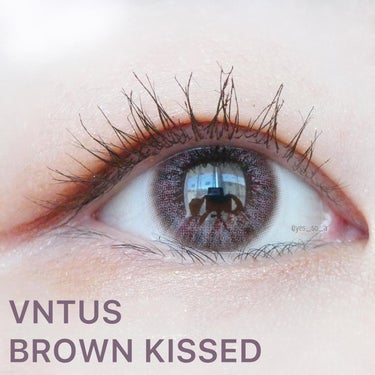 VNTUS 1day ブラウンキスト/VNTUS/ワンデー（１DAY）カラコンを使ったクチコミ（1枚目）