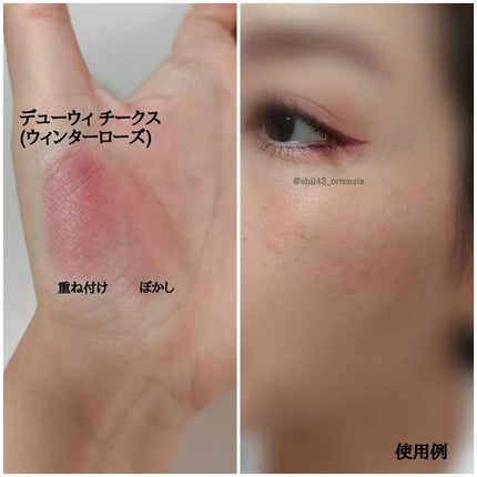 しぃ on LIPS 「❄HOLIDAYCOLLECTION2022❄@brillia..」(7枚目)