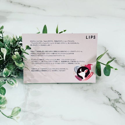 ãŠã§ã«ãã¹ ããã£ãžã§ã«ã¯ãªãŒã ãŠãŒã«ãª& ããŒãºããªãŒ/THE BODY SHOP/ããã£ã¯ãªãŒã ã䜿ã£ãã¯ãã³ãïŒ3æç®ïŒ