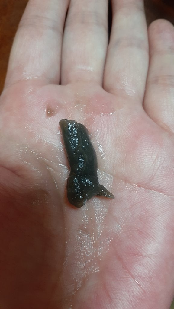 泥ジェル洗顔/ファンケル/その他洗顔料を使ったクチコミ(1枚目)