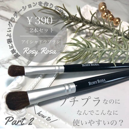 アイシャドウブラシセット/ロージーローザ/メイクブラシを使ったクチコミ(1枚目)