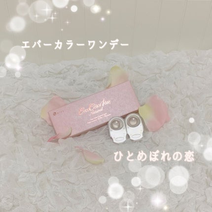 エバーカラーワンデー ナチュラル/エバーカラー/ワンデー(1DAY)カラコンを使ったクチコミ(1枚目)