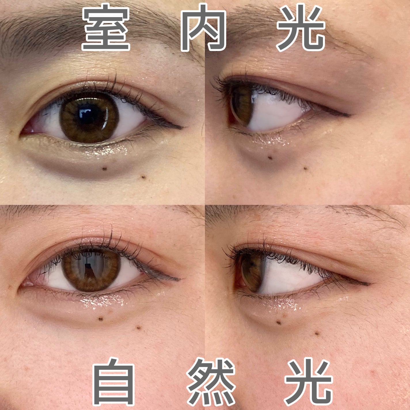 シルキースフレアイズ(マットタイプ)/キャンメイク/アイシャドウパレットを使ったクチコミ(7枚目)