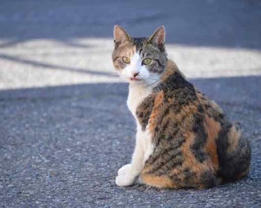 初めての超雑談です︎☺︎

先月1年と数ヶ月続けていたバイト先を辞めてこの間新しいバイト先に面接をしに、、そして昨日採用と電話が来ました(^^)

明日はバイトの内容？の説明を聞きに行きます(DVDを見