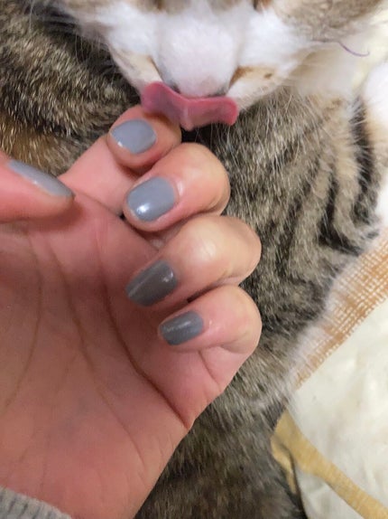 ネイル エナメル 045 グレー系/ちふれ/マニキュアの画像