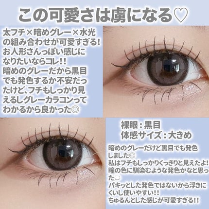 トリコニナル ワンデー/トリコニナル/ワンデー(1DAY)カラコンを使ったクチコミ(3枚目)