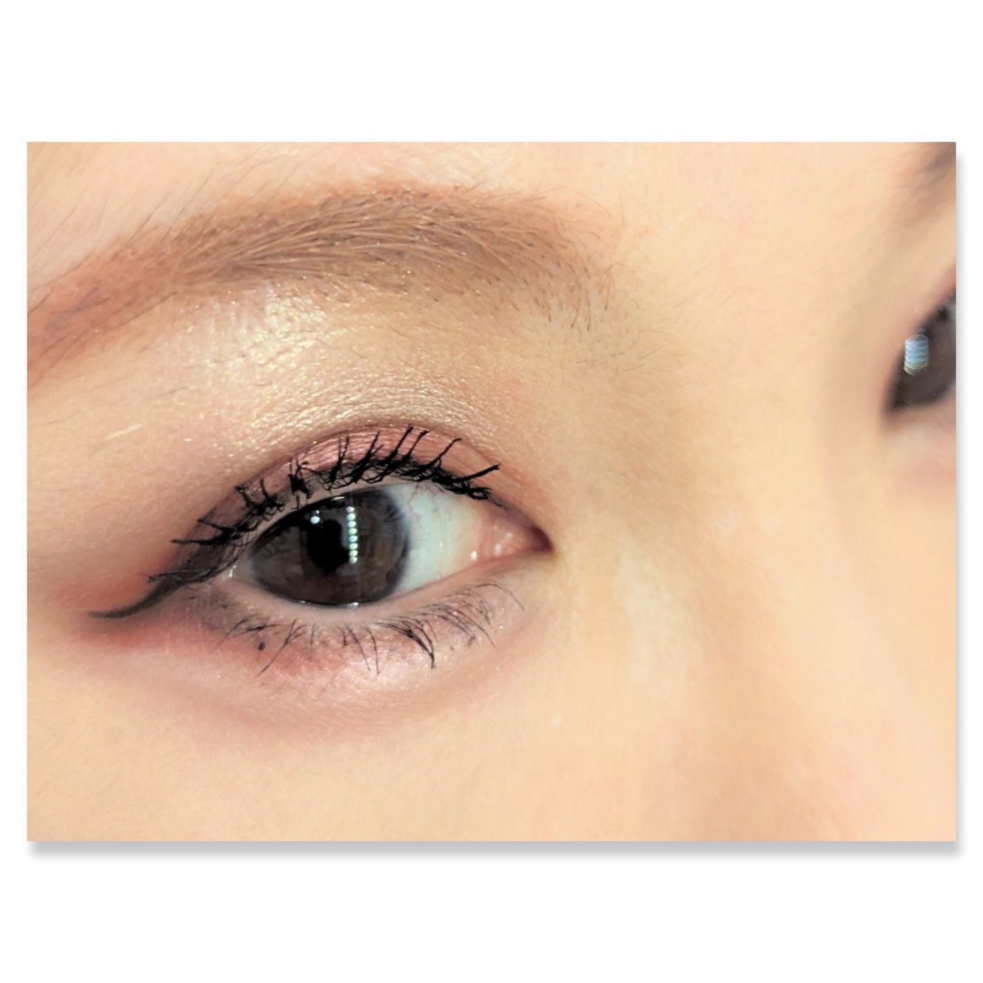 ワンダー スウィート アイシャドウ/リンメル ロンドン/アイシャドウパレットを使ったクチコミ(2枚目)