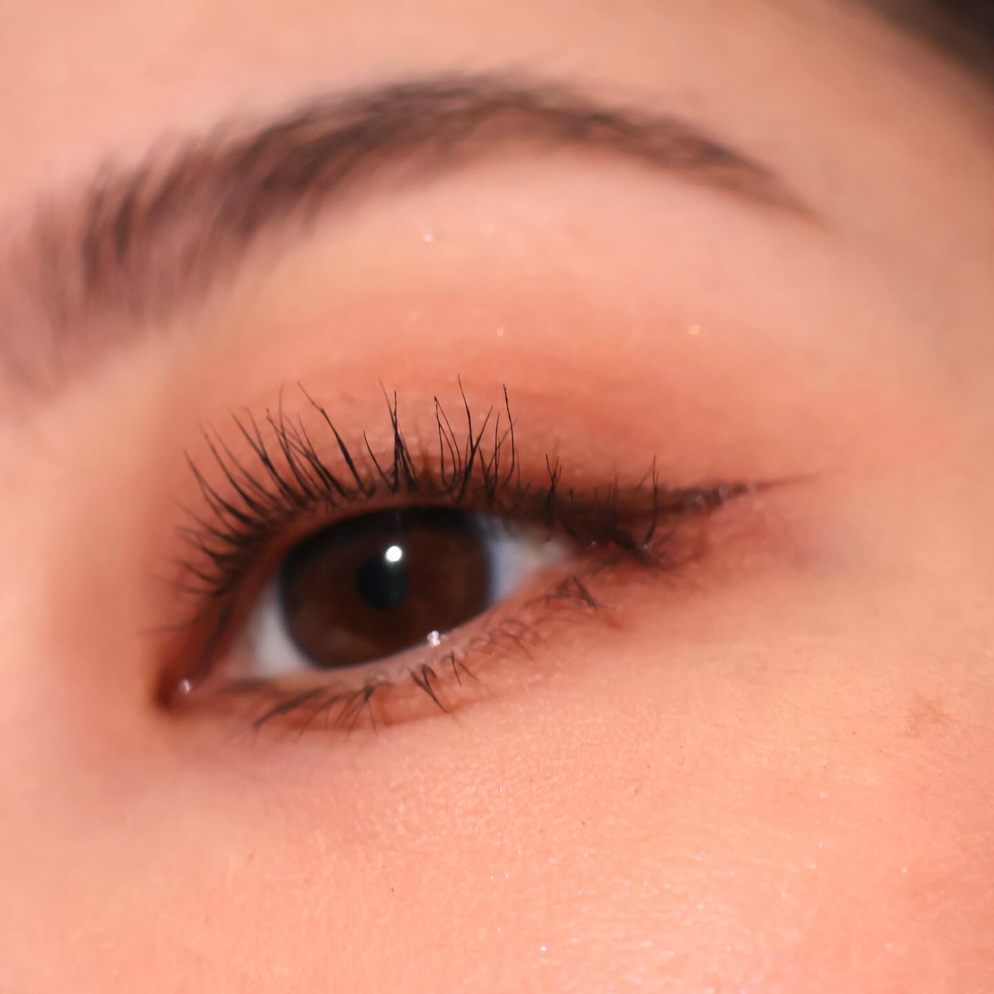 ルナソル カラーリングシアーチークス(グロウ) EX08 Dream Lover/LUNASOL/パウダーチークを使ったクチコミ（2枚目）