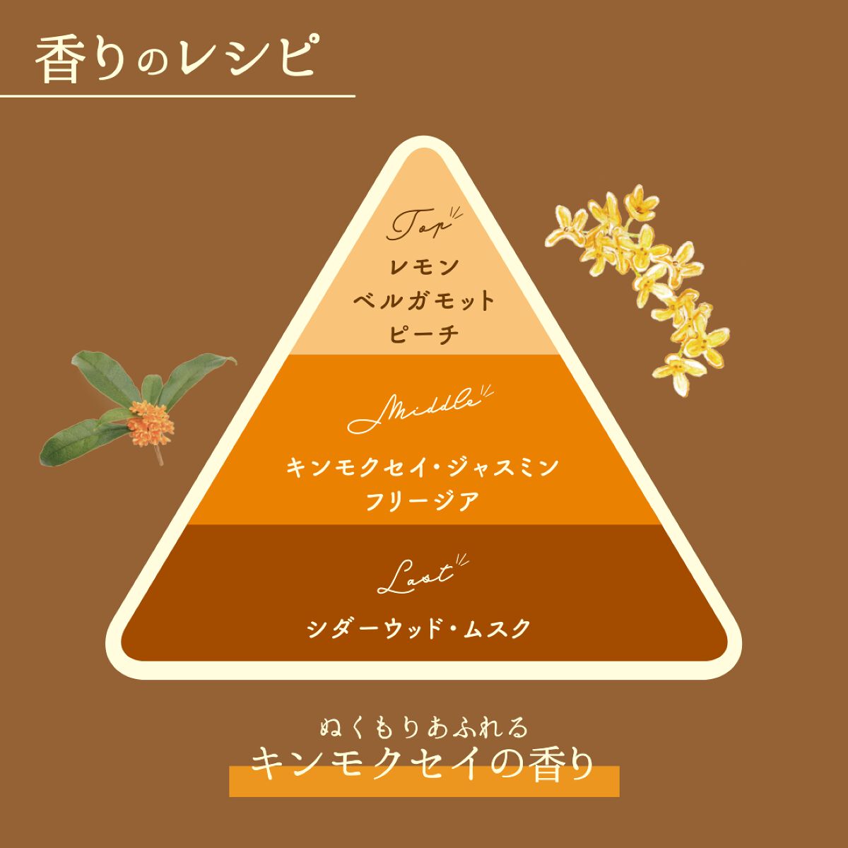 ボディミスト IKOI/フィアンセ/香水を使ったクチコミ（2枚目）