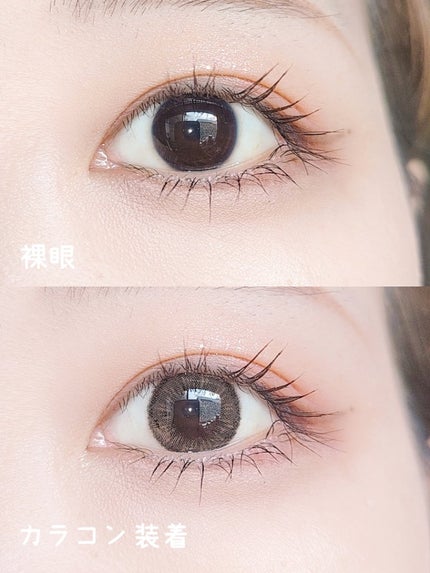 アトリエ・パールキャッツブラウン/トリカ/カラーコンタクトレンズを使ったクチコミ(2枚目)