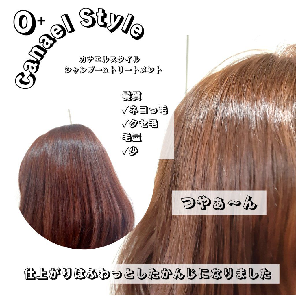 モイストリペア シャンプー/トリートメント /Canael Style /市販シャンプーを使ったクチコミ(5枚目)