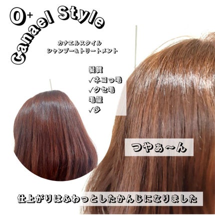 モイストリペア シャンプー/トリートメント /Canael Style /市販シャンプーを使ったクチコミ(5枚目)