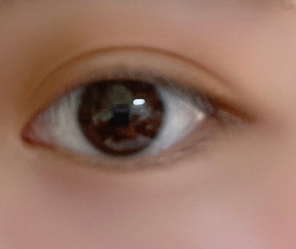 プロ アイ パレット/CLIO/アイシャドウパレットを使ったクチコミ(4枚目)