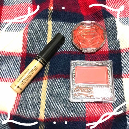 カバーパーフェクション チップコンシーラー/the SAEM/リキッドコンシーラーを使ったクチコミ(1枚目)