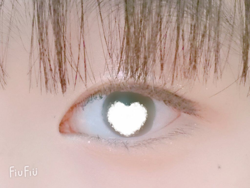 ペリペラ インク ポケット シャドウ パレット 03 BROWN FILTER 360/PERIPERA/アイシャドウパレットを使ったクチコミ（3枚目）