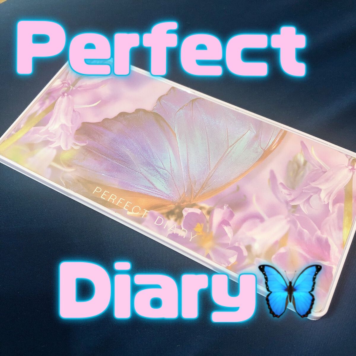 エクスプローラ12色 動物アイシャドウパレット/PERFECT DIARY/アイシャドウパレットを使ったクチコミ(1枚目)