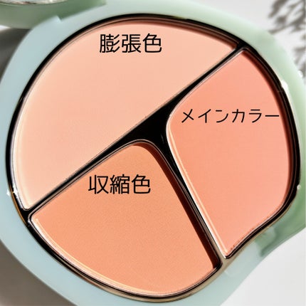 TIMAGE 3色チークパレット/TIMAGE/パウダーチークを使ったクチコミ(4枚目)