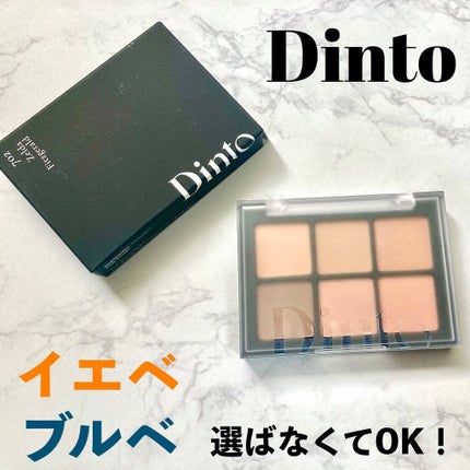 ブラーフィニシュシャドウパレット/Dinto/アイシャドウパレットを使ったクチコミ(1枚目)