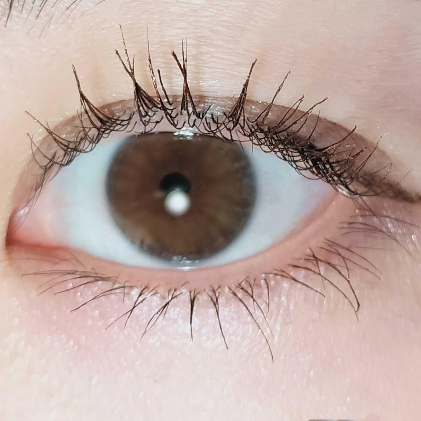 マスカラ/3650/マスカラを使ったクチコミ(5枚目)