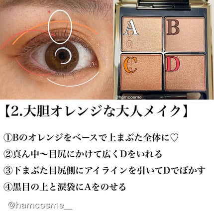 シグニチャー カラー アイズ/SUQQU/アイシャドウパレットを使ったクチコミ(5枚目)