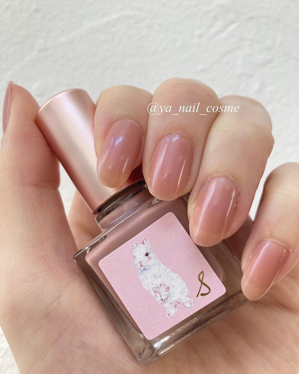 ネイルエス/ nail S(ネイルエス) /マニキュアを使ったクチコミ(2枚目)