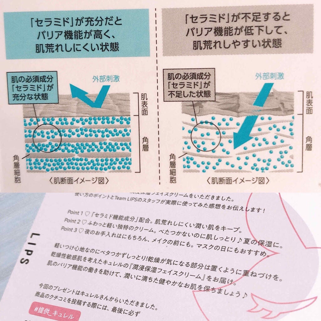 潤浸保湿 フェイスクリーム/キュレル/フェイスクリームを使ったクチコミ(2枚目)