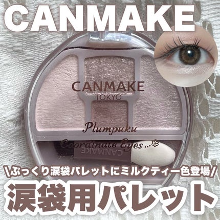 プランぷくコーデアイズ/キャンメイク/パウダーアイシャドウを使ったクチコミ(1枚目)