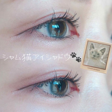 RiPiれるまつげ/アネックスジャパン/つけまつげを使ったクチコミ(1枚目)