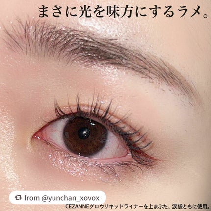 グロウリキッドライナー/CEZANNE/リキッドアイライナーを使ったクチコミ(7枚目)