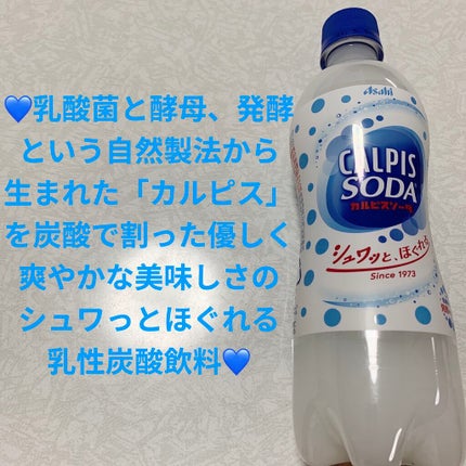 カルピスソーダ/カルピス/乳酸菌飲料を使ったクチコミ(1枚目)