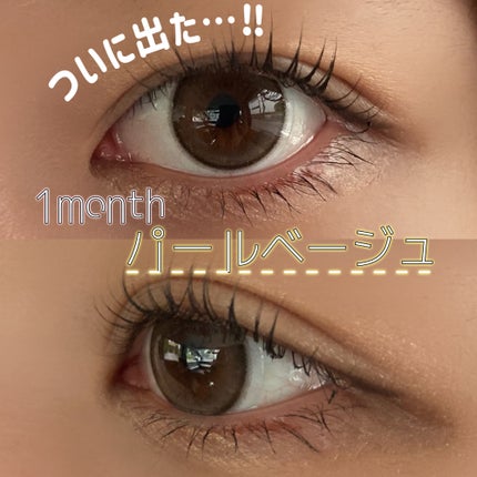 エバーカラーマンスリー/エバーカラー/1ヶ月(1MONTH)カラコンを使ったクチコミ(1枚目)