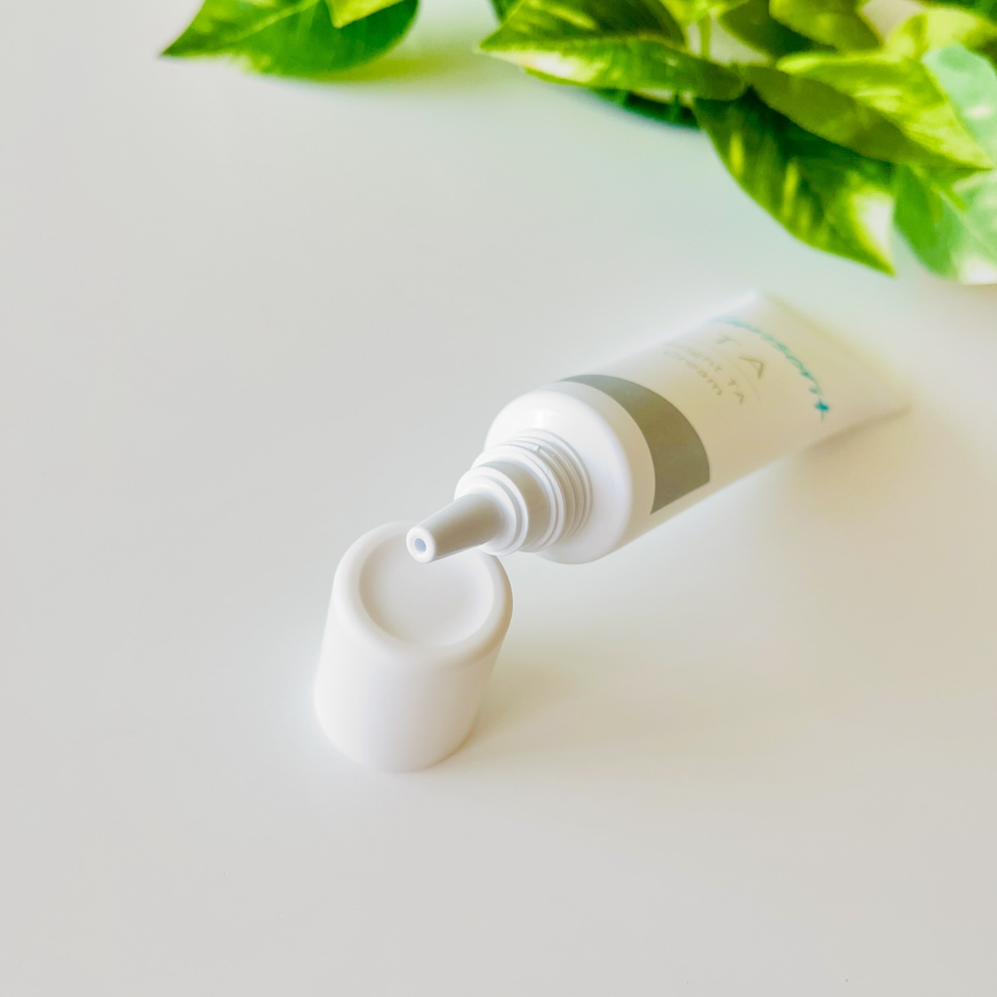 ブライトTAクリーム【医薬部外品】/サンソリット/フェイスクリームを使ったクチコミ（3枚目）