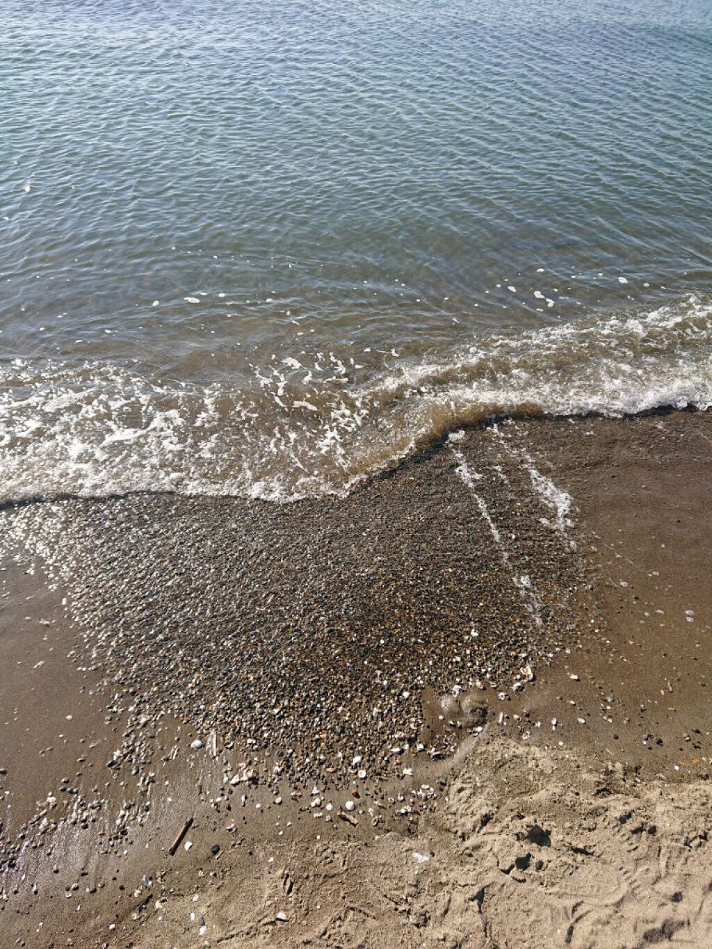 にゃーにゃ一団 on LIPS 「こんにちは✨😃❗今日まで休みでまたまた実家に来てて🏡朝、妹の病..」(4枚目)