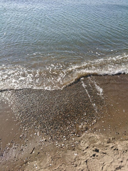 にゃーにゃ一団 on LIPS 「こんにちは✨😃❗今日まで休みでまたまた実家に来てて🏡朝、妹の病..」(4枚目)