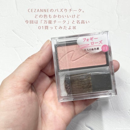 チークブラッシュ/CEZANNE/パウダーチークを使ったクチコミ(2枚目)