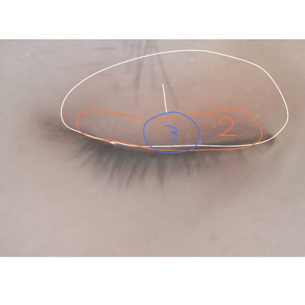 UR GLAM BLOOMING EYE COLOR PALETTE/U R GLAM/アイシャドウパレットを使ったクチコミ(4枚目)