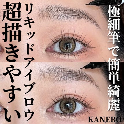デザイニングアイブロウリクイド/KANEBO/リキッドアイブロウを使ったクチコミ(1枚目)