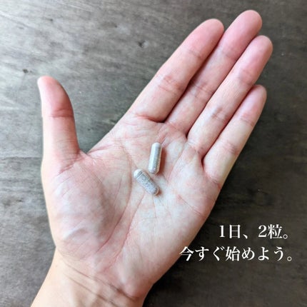 Baby White 60粒/renaTerra/美容サプリメントを使ったクチコミ(3枚目)