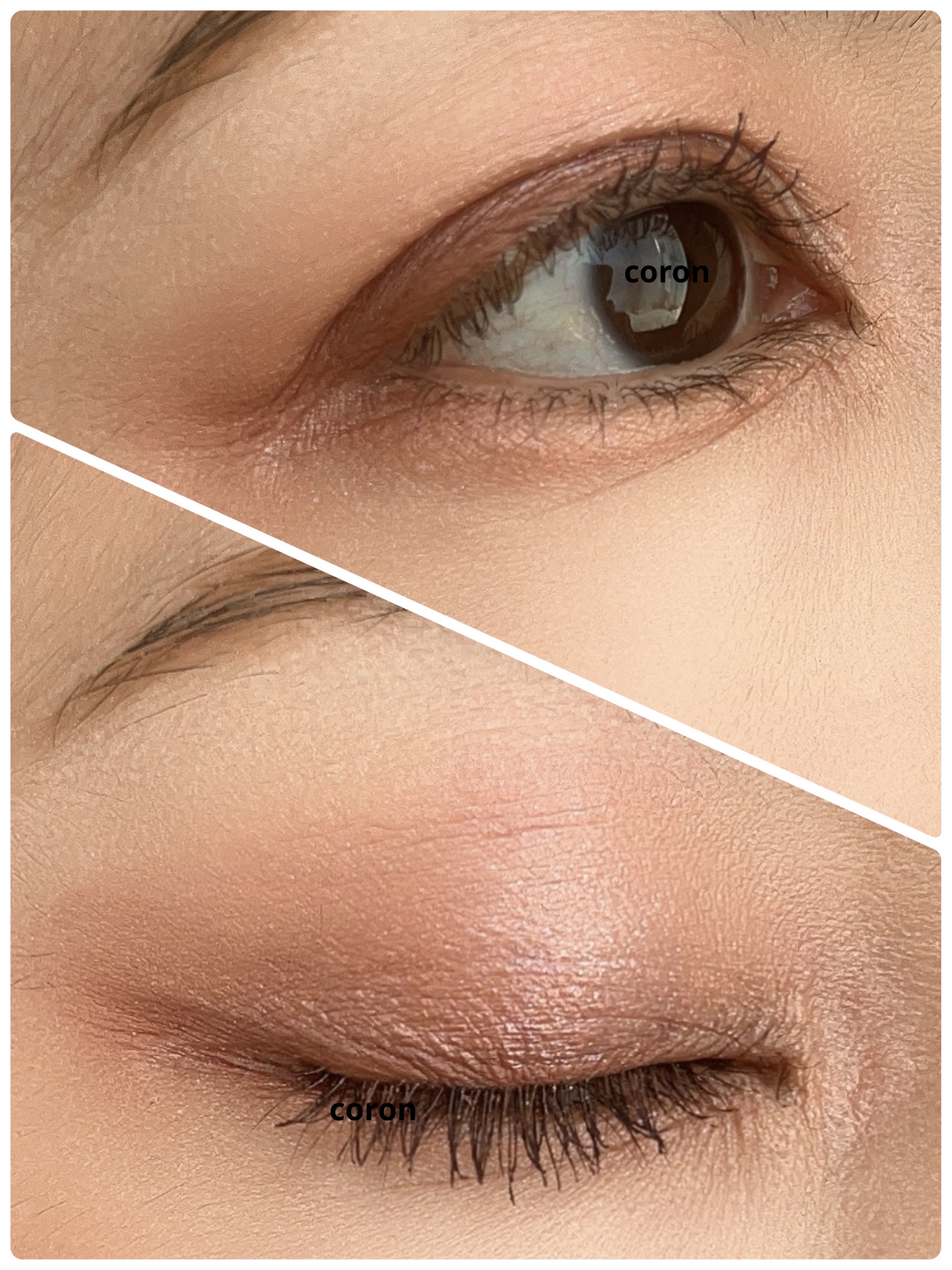 エクストラボリューム カラーマスカラ/Amplitude/マスカラを使ったクチコミ（2枚目）