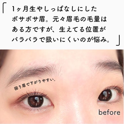 ブロウパウダー DUO ミディアムブラウン/アナスタシア/パウダーアイブロウの画像