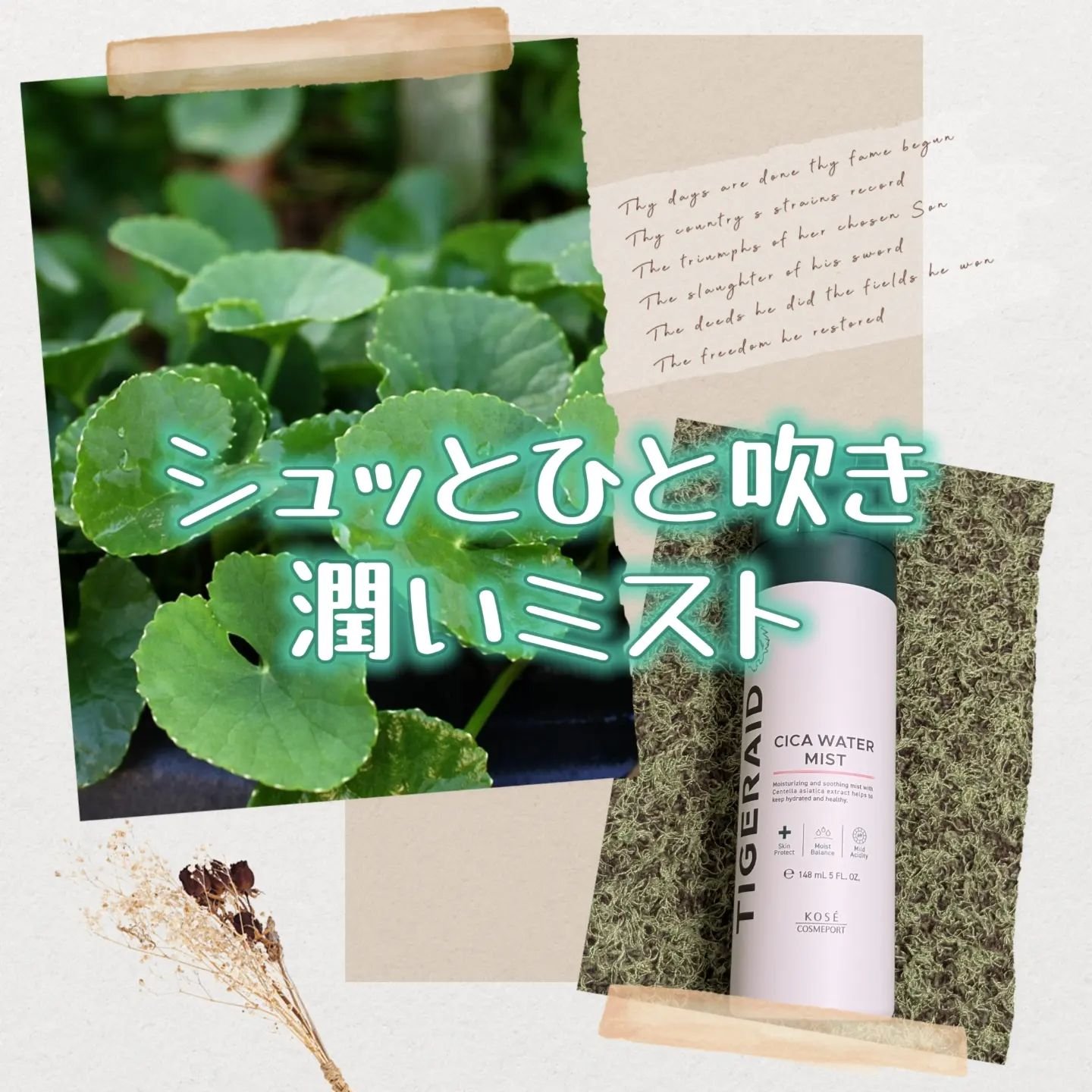 薬用 CICA ウォーターミスト 150g/タイガレイド/ミスト状化粧水を使ったクチコミ（1枚目）