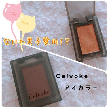 セルヴォーク ヴォランタリー アイズ 27 ローシェンナオレンジ/Celvoke/シングルアイシャドウを使ったクチコミ（1枚目）