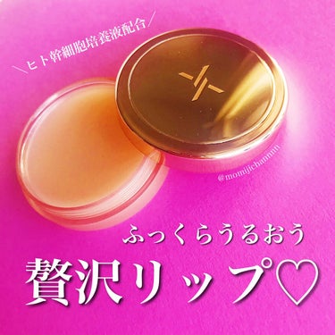 EVER MOIST LIP BALM/XOUL/リップケア・リップクリームを使ったクチコミ（1枚目）